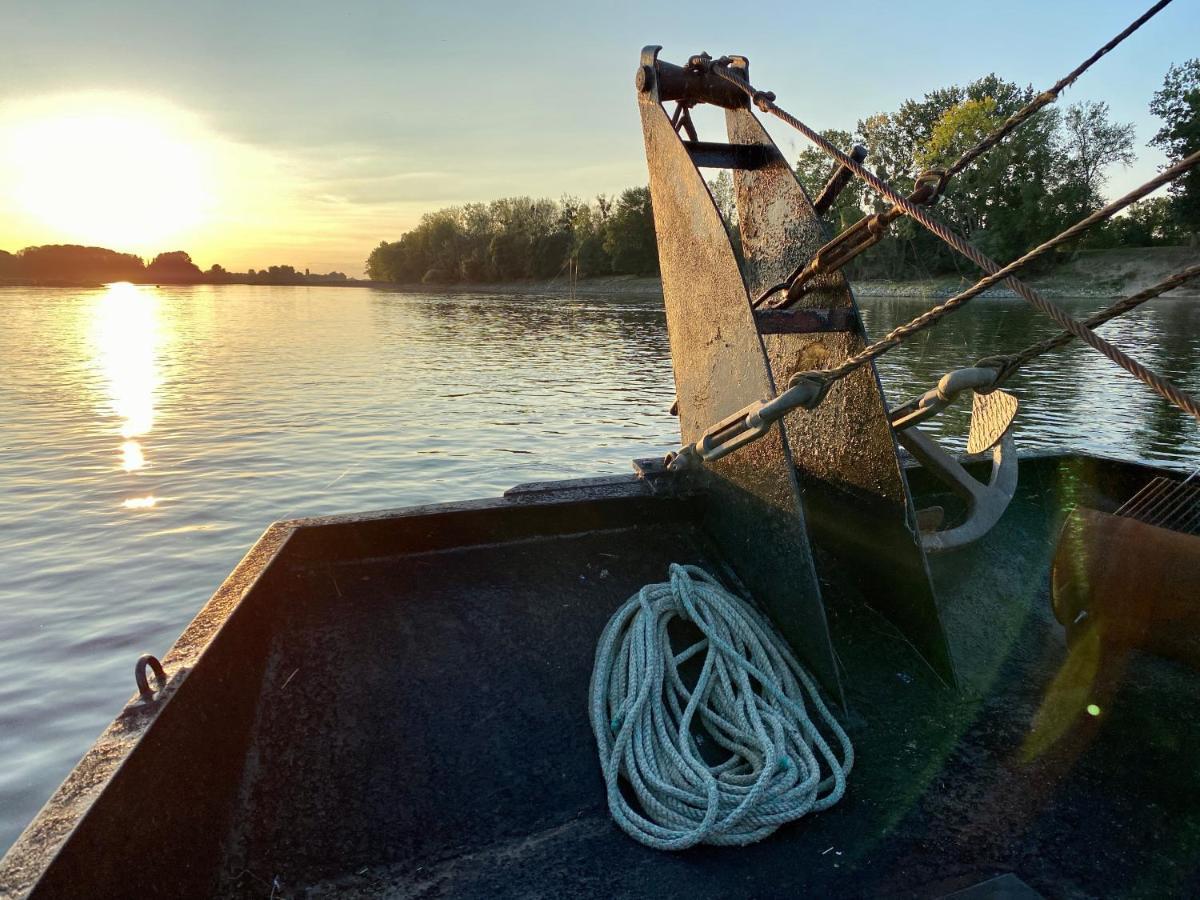 Gite Loirizon Vue Loire 4 Personnes Ingrandes  Buitenkant foto