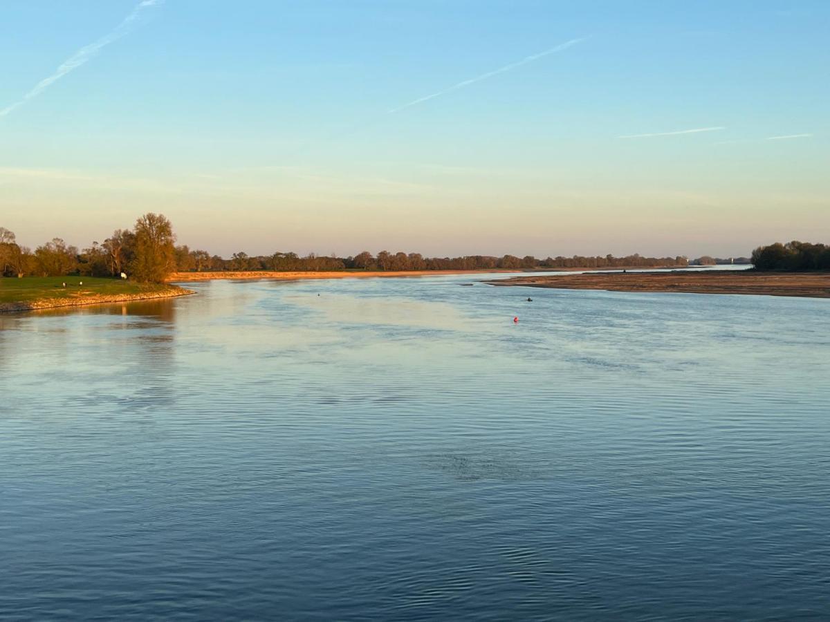 Gite Loirizon Vue Loire 4 Personnes Ingrandes  Buitenkant foto