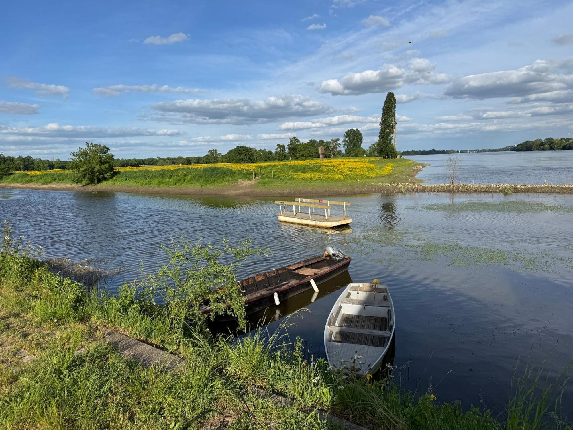 Gite Loirizon Vue Loire 4 Personnes Ingrandes  Buitenkant foto